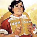 金瑞农资黎清文