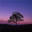 wx_17519