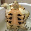 交笔友:江西省 2001-12-20  男