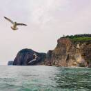 李小卫的头像-战友联盟