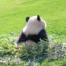 Imagine的头像-博士钣金 - www.bsbanjin.com