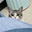 凌宇恒的头像-手游资料站