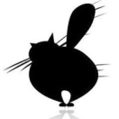 晝光