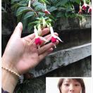 南宫凝香家呢饺子