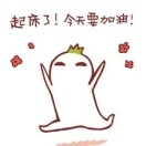 万万的头像-涛哥