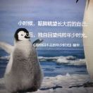 罐头会过期