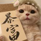 Carl-长游分享网