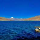 秋-冷松春的头像-博士钣金 - www.bsbanjin.com