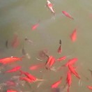 杰（^_^）