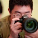 水巨木的头像-鼓腹而游