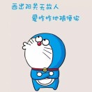 次女士的头像