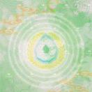 西雅图(华盛顿州)求租