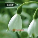 建安汇用户头像