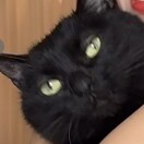 陈唯豪