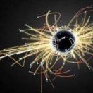 郑云柯的钢琴谱