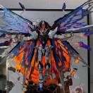 晴川揽胜逐光行