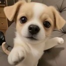 熙熙嘻嘻