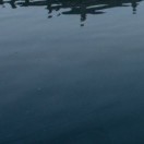 杨能辉的头像-博士钣金 - www.bsbanjin.com