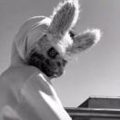 用户96229632的头像-WordPress主题模板-zibll子比主题