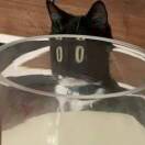 ㅤㅤㅤㅤㅤㅤㅤㅤㅤㅤㅤㅤㅤㅤ