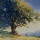 蘇小蘇~-秀琴曲谱网