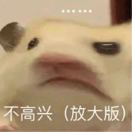 曼彻斯特求租