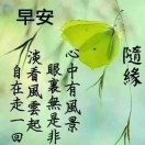 岁月安然的钢琴谱
