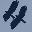 圣兴邓15880600811的头像-博士钣金 - www.bsbanjin.com