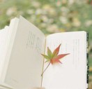 下一个季节-济南壹软网络科技