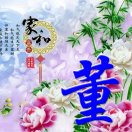 wx_董建伟69