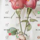 刘先生的头像