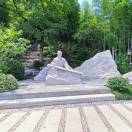 夏禹的头像-熵减岛