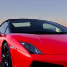 龙江城小龙对南