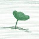 流萤辉月