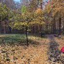 春軍的头像-战友联盟