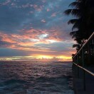 昀枫的头像-工欲善其事，必先利其器宋辞云创