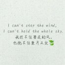 。。。。的头像