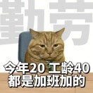 奥利奥
