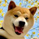 曼彻斯特求租