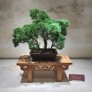 用户发起投诉