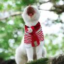 阿尔的太阳的头像-熵减岛