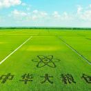 孙18 头像
