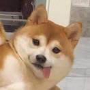 安全KER