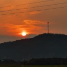 袁坤