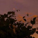 李光远的小粉丝的头像_知识产权零距离网（IP0.cn）