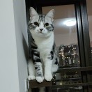 小懶蟲