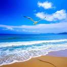 大漠雄鹰-修呗修呗