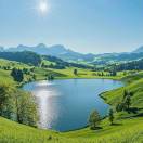 聚宝盆的头像 老秦