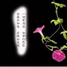 事如春梦