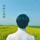 回眸已成蝶